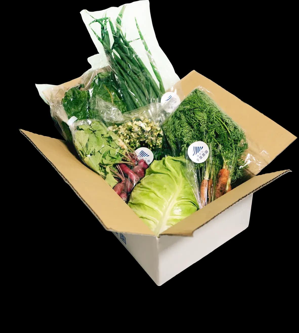 新鮮な野菜が入った定期便ボックス