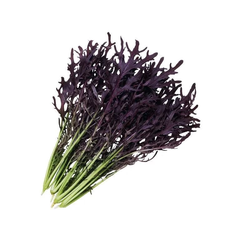 からし菜